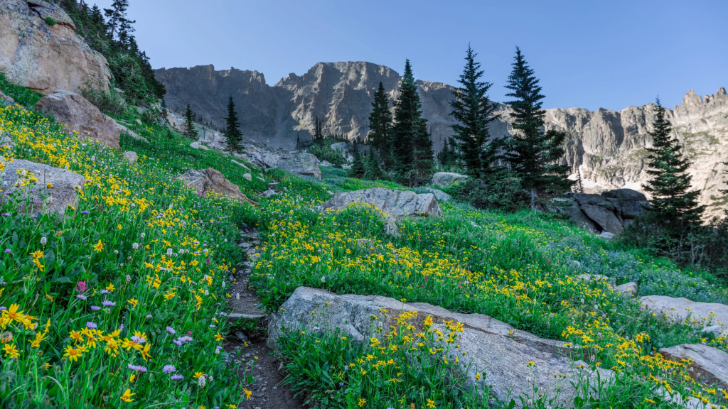 Buchanan Pass Hike | Cap Puckhaber