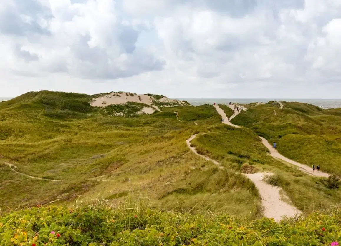 Best Hiking Trails in Indiana for Beginners 