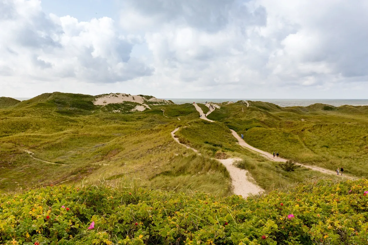 Best Hiking Trails in Indiana for Beginners 