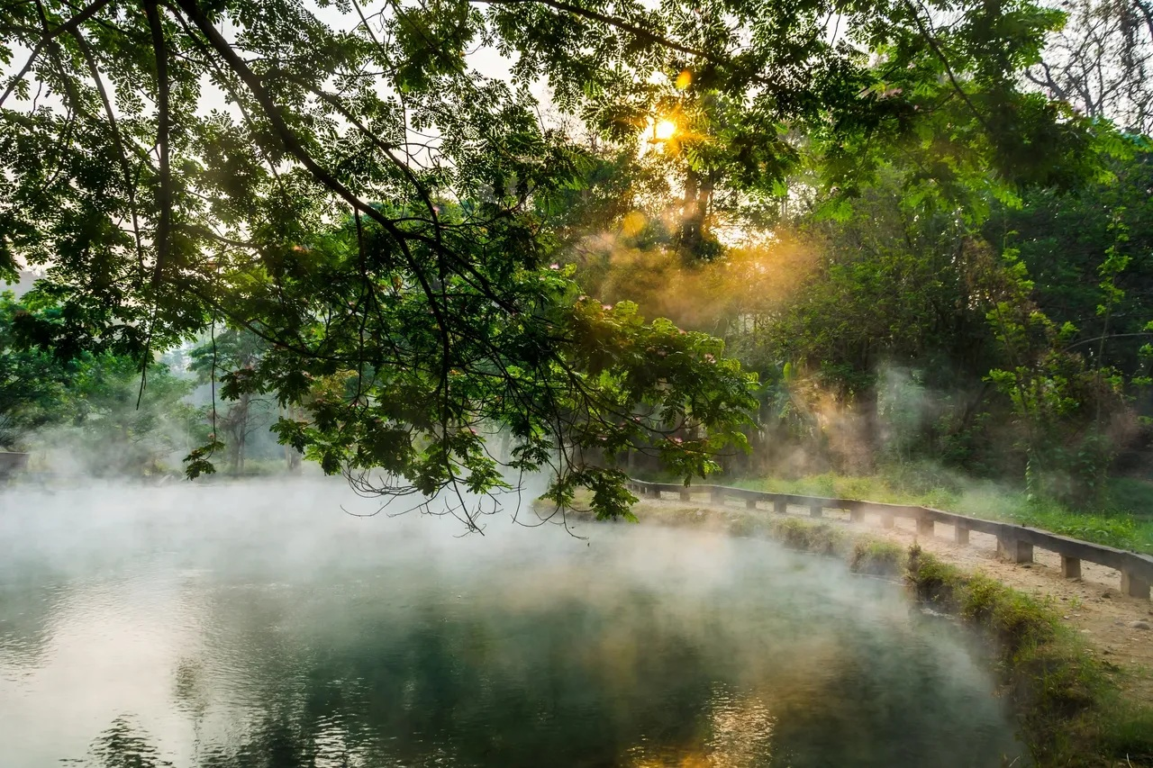 The Best Camping Spots in Louisiana for Adventure, Lakes, and Swamps