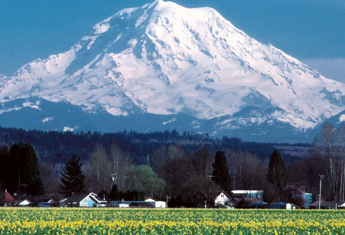 Your Guide to Mastering the Wonderland Trail