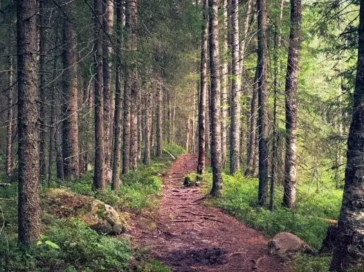 PCT Guide to Permits and Costs