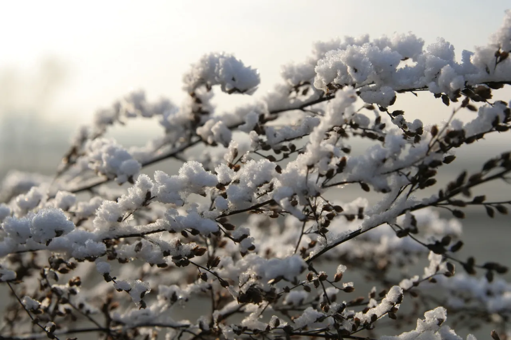 Winter Hiking Guide | Cap Puckhaber