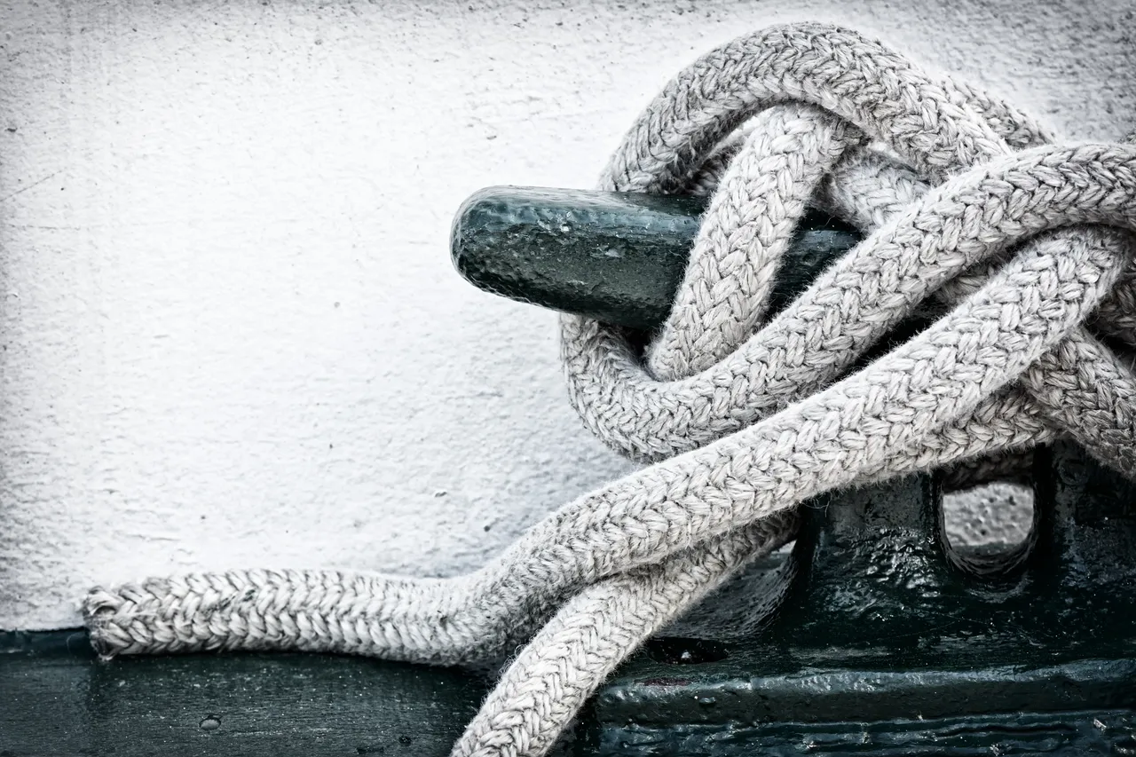 6 Essential Knots Every Hiker Must Know