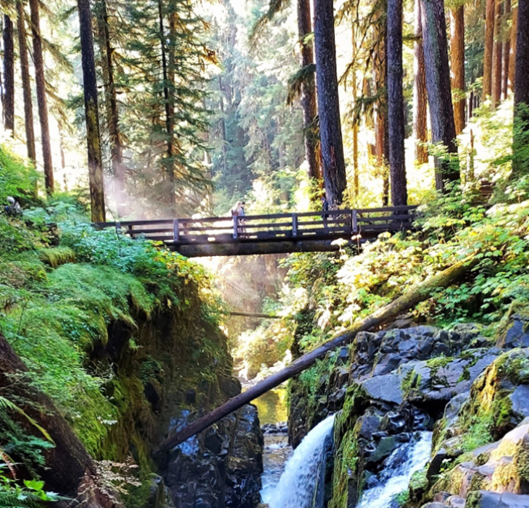 Olympic National Park | Cap Puckhaber Hiking Blog