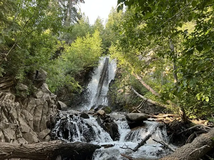 Dog Friendly, Waterfall Hiking Trails near Reno